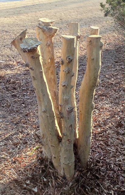 Ormond Feb Blog 2