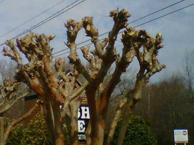 Ormond Feb. Blog 1